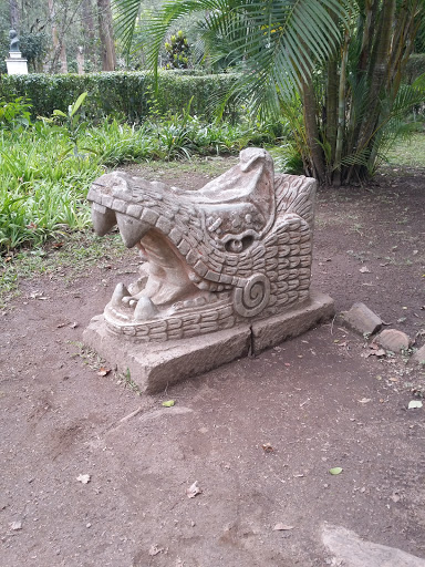 Dragon Maya