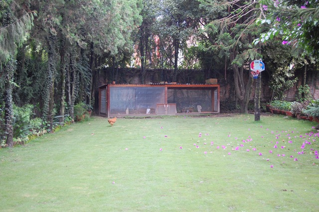 [DSC_00413.jpg]
