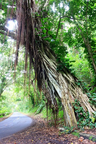 [IMG_2331esmall2.jpg]