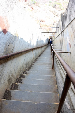 [IMG_2394esmall2.jpg]