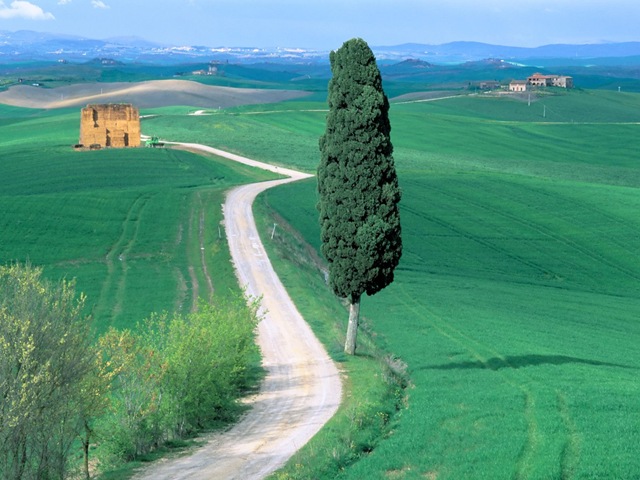 [Country Road, Tuscany, Italy[4].jpg]