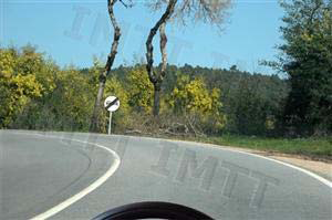 [image[91].png]
