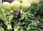 Ferry Plaza Farmers Market