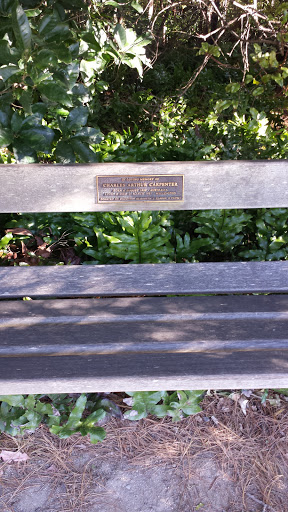 Carpenter Memorial Seat