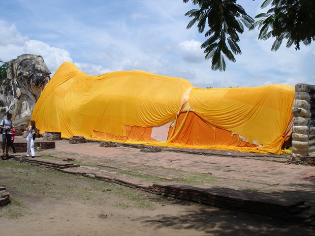 [DSC0005722.jpg]