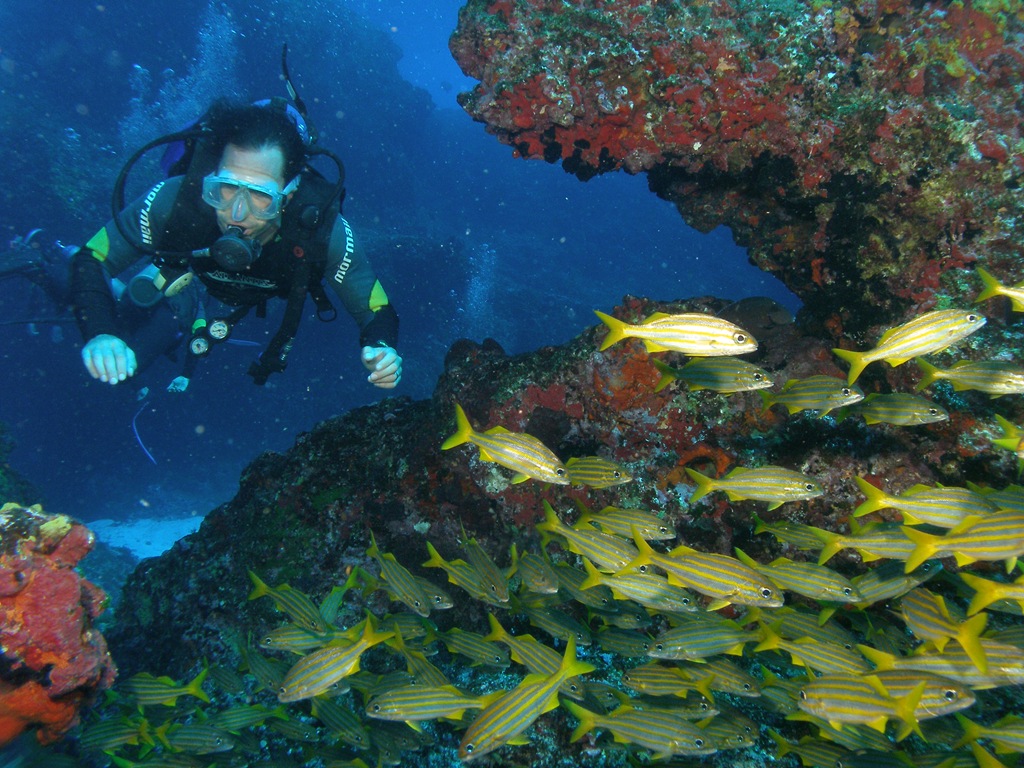 [P4080861[1].jpg]