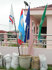 opp_flags