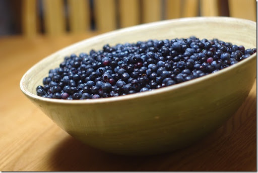 blueberries 011