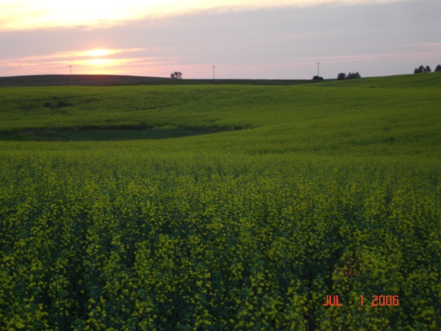 [June 2006 124[2].jpg]