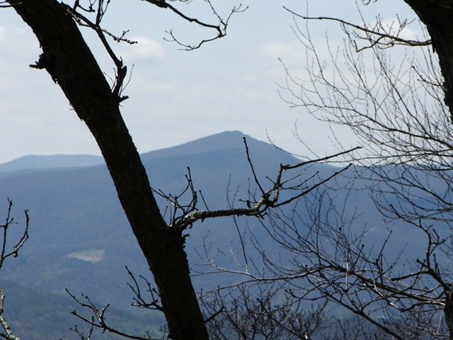 [Dscf8234a3.jpg]