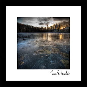 CRACKY POND | Herlige refleksjoner av tretopper og solnedgang på et frosset tjern. I bunnen av bildet ser man vannliljer som er frosset inn i isen. Bildet er tatt Januar 2008 og er signert av fotokunsnter Thomas Russ Arnestad.