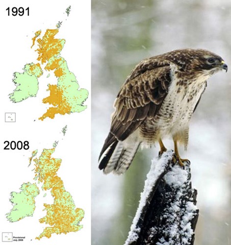 [buzzard_map_46597a[13].jpg]