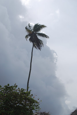 verticalité