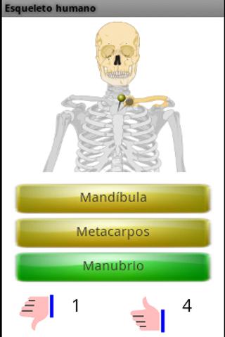 Aprende los huesos