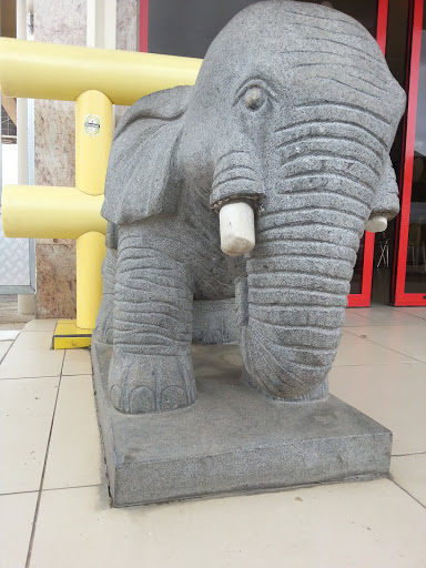Elephant Statue by Chris