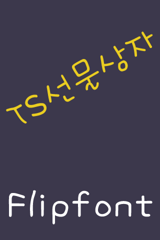 TS선물상자 FlipFont