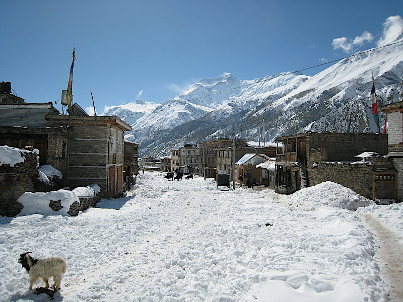 Manang