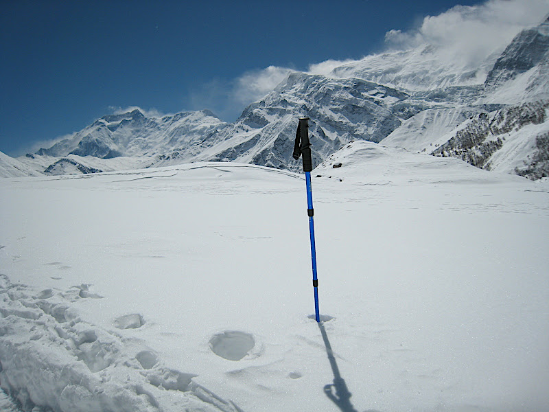Hiking pole in snow