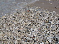 Summer 2008 164.JPG