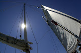 DSC_0122.JPG