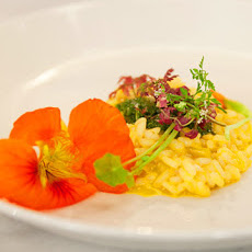 Nasturtium Pesto