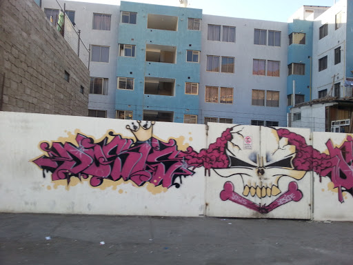 Graffiti Calavera