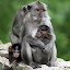 by Darrin James - Animals Other Mammals