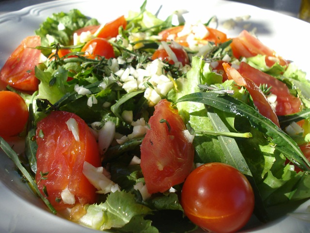 [garden salad_1_1[2].jpg]