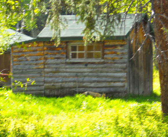 Spotting Image 1
