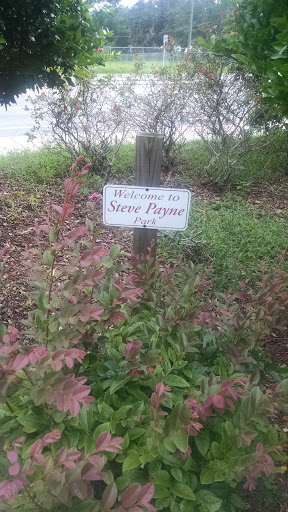 Welcome to Steve Payne