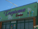Casino Tropicana De La Punta
