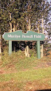 Maralyn Parnell Field