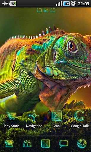 Chameleon Colorful Theme