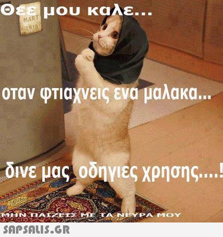 Θα μου καλε MART οταν φΤιαχνειςενα μαλακα. δινε μας οδηγιες χρησης ! A. ΝΕΥΡΑ ΜΟΥ SAP SALIS.GR