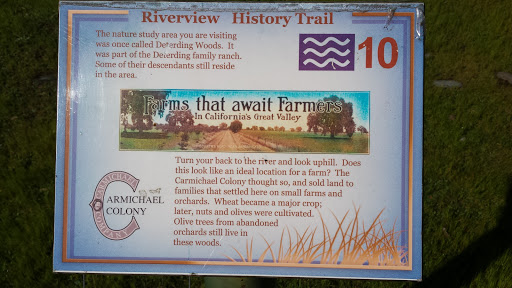Riverview History Trail #10