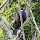 Biodiversity of North Island, New Zealand