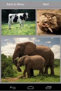 How to download Animal Sounds lastet apk for laptop