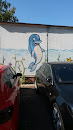 Dolphin Graffiti