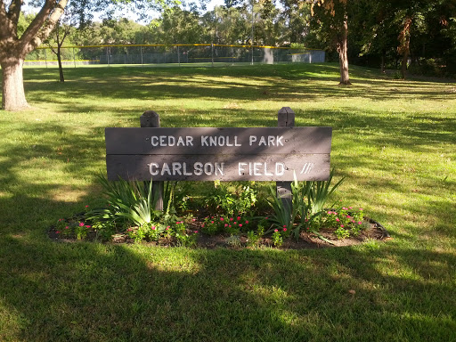 Carlson Field