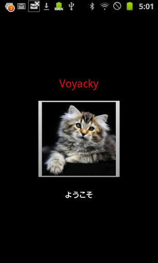 Voyacky Secure voice mail