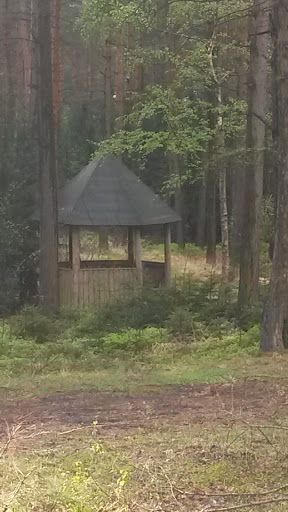 Haus Im Wald