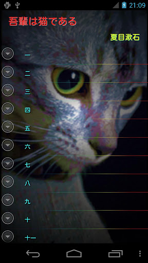 나쓰메 소세키 나는 고양이이다