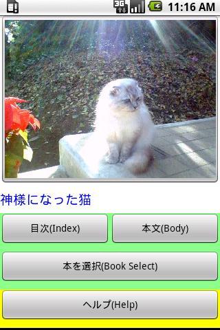 MyBook猫物語