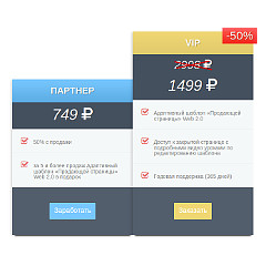 Адаптивный шаблон продающей страницы Web 2.0 Пакет VIP (СКИДКА -50%)