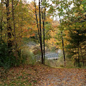 Fall scenery
