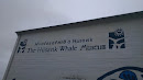 Húsavík Whale Museum 
