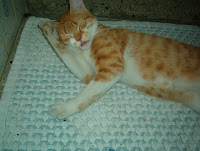 kk1231 005.jpg