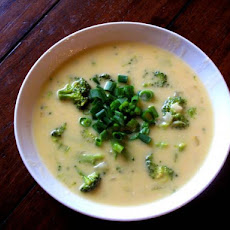 Broccoli Cheddar Soup