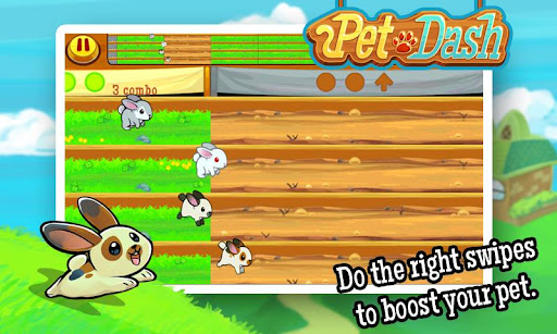 Pet Dash