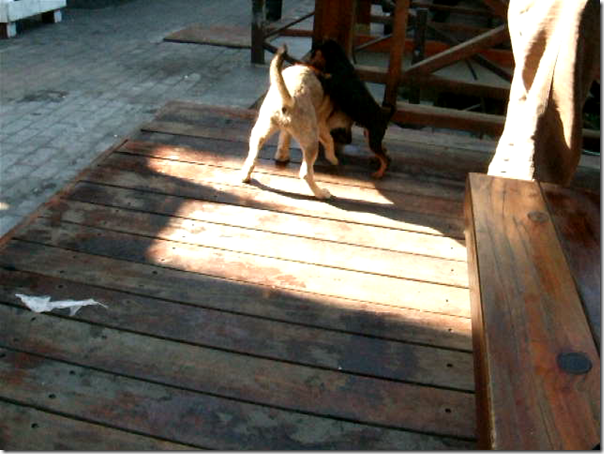 snapshot20080407225300